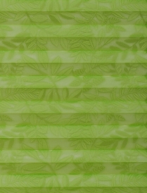 Плиссированные шторы, цвет салатовый 62/160