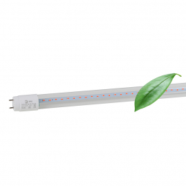Лампа светодиодная Эра FITO для растений красно-синего спектра 9Вт RB-Т8-G13-NL Б0042986
