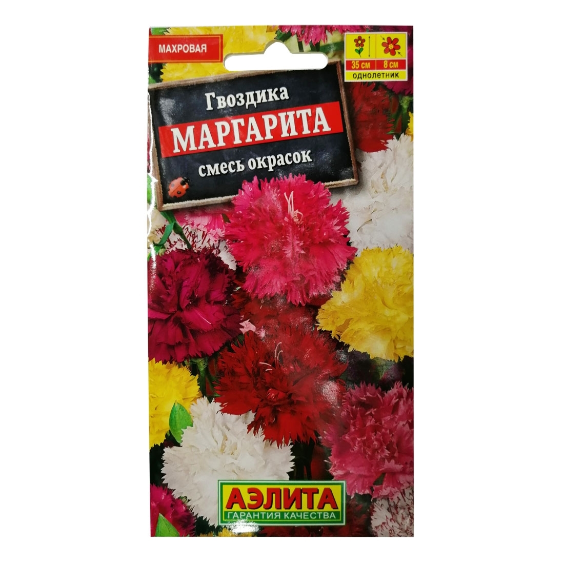 Гвоздика Маргарита