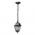 Светильник подвесной улично-садовый Camelion PP4205 C42 НСУ 04-60-001 черный-серебро, пластик 13847