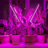 Светильник светодиодный Smartbuy FITO для растений на прищепке 12Вт SBL-Fito-12-White